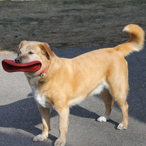 Meet your Posher, Meghan